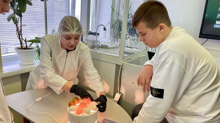 WhatsApp Image 2024-12-06 at 11.58.53